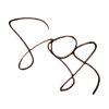Firma para la web